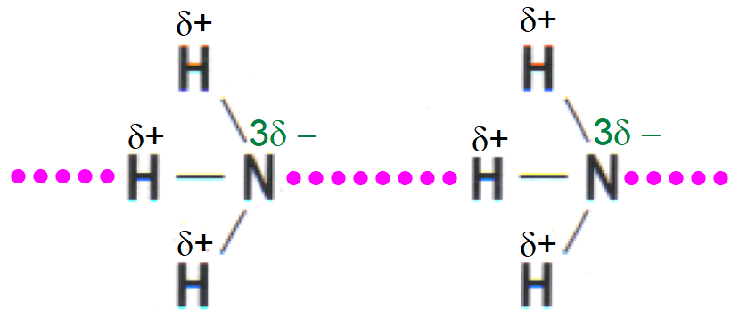 Liên kết hydrogen NH3
