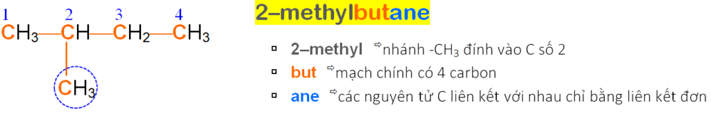 2-methylbutane